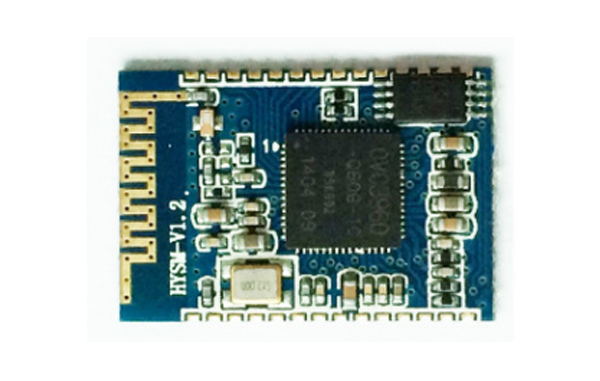 Portable Bluetooth speaker module